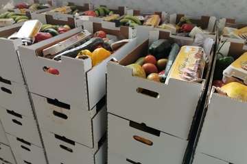 El Cabildo reparte cestas de 14 kilos de verduras, frutas y quesos a familias de Telde (Foto TA)